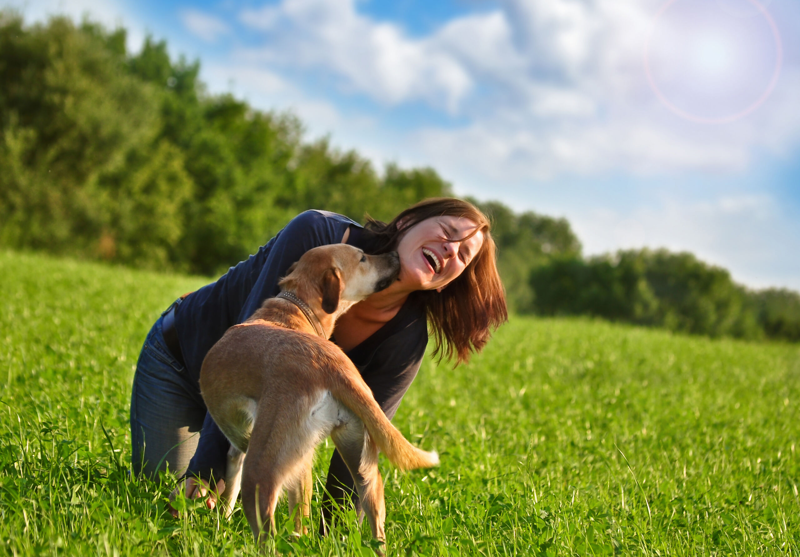 Mensch und Hund